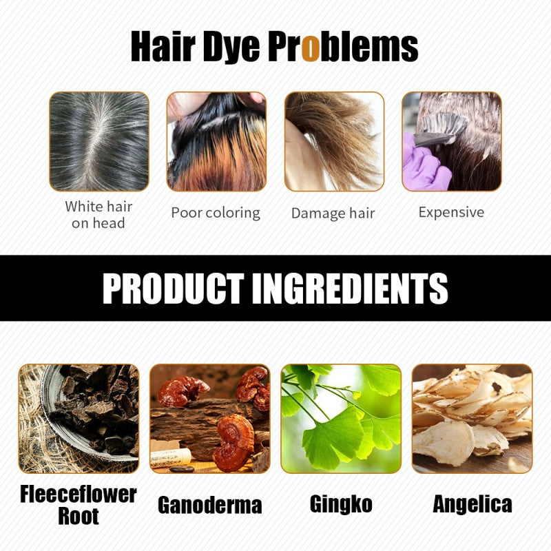 ShahSyl™Disaar Moroccan Black Shampoo - Nourishing and Revitalizing Hair Care